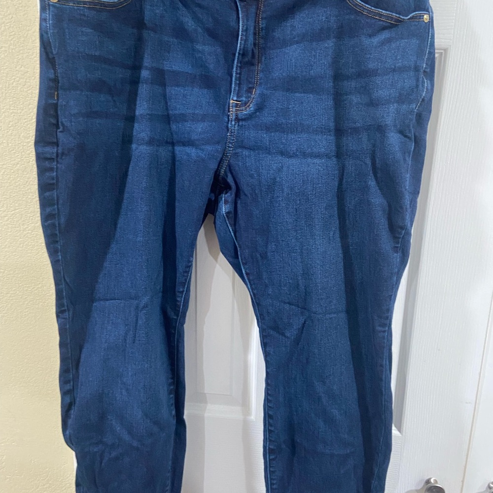 Lane Bryant Women's Straight Leg Blue Jeans